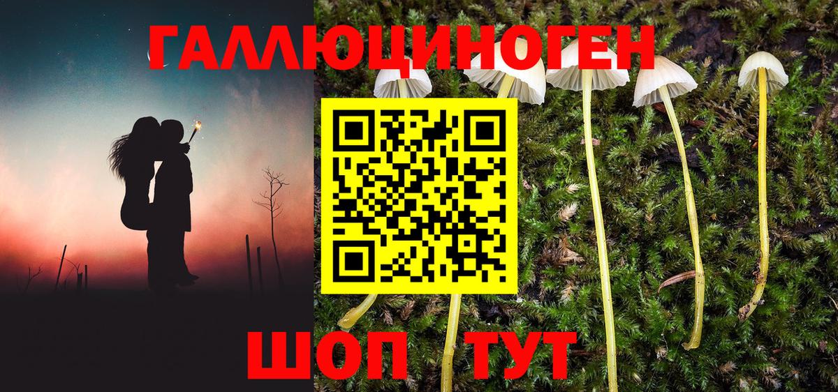 наркота  Галлюциногенные грибы GOLDEN TEACHER  Вход с VPN  Лысьва 