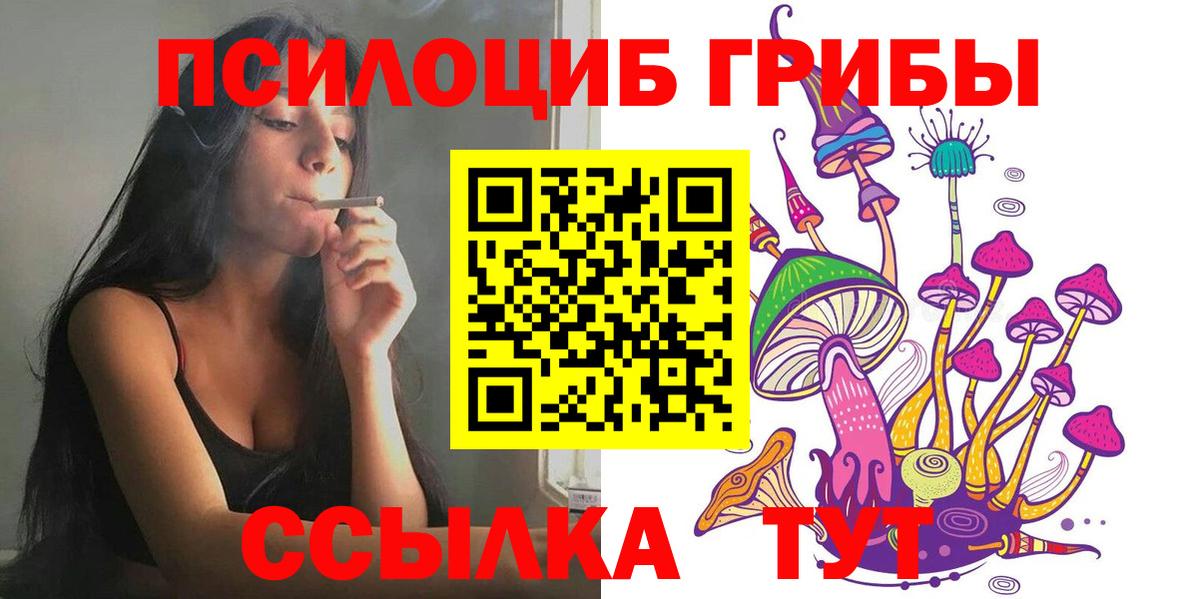 Галлюциногенные грибы Psilocybine cubensis Лысьва